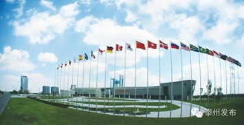 新春開門紅 20個產業化項目扎堆中國醫藥城，技術服務開啟新篇章